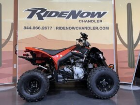 2023 Can-Am DS 250 for sale 201460780