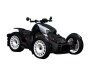 2023 Can-Am Ryker for sale 201340192