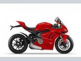 2023 Ducati Panigale V4 for sale 201495403