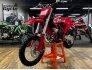 2023 Gas Gas MC 65 for sale 201371943