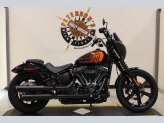 2023 Harley-Davidson Softail Street Bob 114
