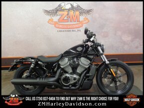 2023 Harley-Davidson Sportster Nightster for sale 201532055