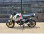 2023 Honda Grom ABS for sale 201313587