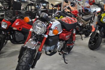 New 2023 Honda Monkey