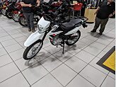 2023 Honda XR150L for sale 201543704