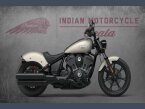 Thumbnail Photo 3 for 2023 Indian Chief ABS