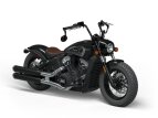Thumbnail Photo 19 for 2023 Indian Scout