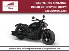 Thumbnail Photo 0 for New 2023 Indian Scout Bobber Sixty