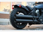 Thumbnail Photo 8 for New 2023 Indian Scout