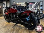 Thumbnail Photo 6 for New 2023 Indian Scout Bobber Sixty