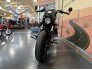 2023 Indian Scout Bobber Rogue for sale 201353401