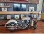 2023 Indian Scout ABS for sale 201401729