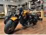 2023 Indian Scout ABS for sale 201404316
