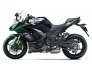 2023 Kawasaki Ninja 1000 for sale 201328159