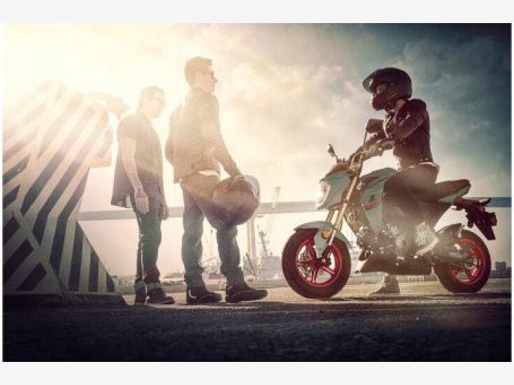 Thumbnail Photo undefined for New 2023 Kawasaki Z125 Pro