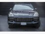 2023 Porsche Cayenne Platinum Edition for sale 101793056