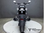 Thumbnail Photo 7 for 2023 Triumph Speed Twin Breitling Edition