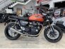 2023 Triumph Speed Twin Breitling Edition for sale 201348502