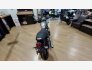2023 Triumph Speed Twin for sale 201377254