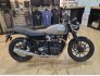 2023 Triumph Speed Twin for sale 201377254