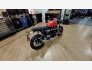 2023 Triumph Speed Twin Breitling Edition for sale 201379633