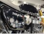 2023 Triumph Thruxton RS for sale 201332117