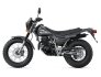 2023 Yamaha TW200 for sale 201350509