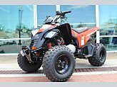 2024 Can-Am DS 250 for sale 201553716