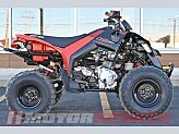 2024 Can-Am DS 250 for sale 201553760