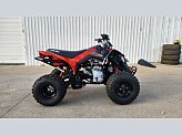 2024 Can-Am DS 250 for sale 201557376