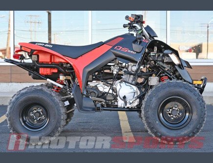 Photo 1 for New 2024 Can-Am DS 250
