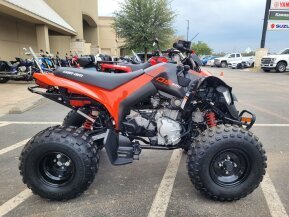 2024 Can-Am DS 250 for sale 201554048