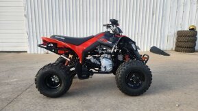 2024 Can-Am DS 250 for sale 201557376