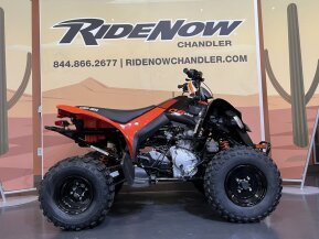 2024 Can-Am DS 250 for sale 201616944