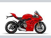 2024 Ducati Panigale V4 for sale 201548995