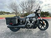 2024 Harley-Davidson Sportster Nightster for sale 201589767