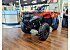 New 2024 Honda FourTrax Rancher 4X4 Automatic DCT IRS EPS