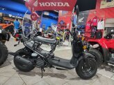 New 2024 Honda Ruckus
