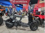 New 2024 Honda Ruckus