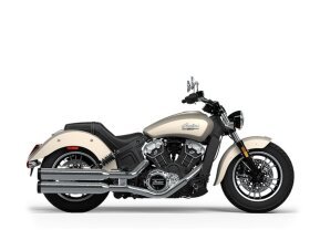 2024 Indian Scout for sale 201564066
