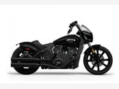 New 2024 Indian Scout Bobber Rogue