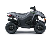 New 2024 Kawasaki KFX50