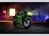 2024 Kawasaki Ninja 500 SE ABS for sale 201619103