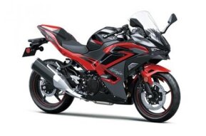 2024 Kawasaki Ninja 500 for sale 201616174