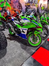 2024 Kawasaki Ninja 500 for sale 201619051