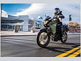 2024 Kawasaki Versys X-300 ABS for sale 201600696