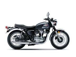 2024 Kawasaki W800 for sale 201571298