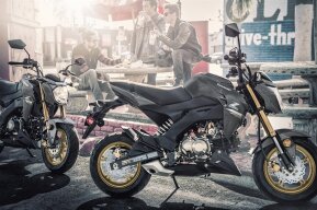 2024 Kawasaki Z125 Pro for sale 201555749