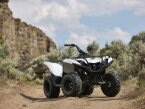 Thumbnail Photo 1 for New 2024 Yamaha Grizzly 90