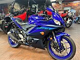 2024 Yamaha YZF-R3 for sale 201599115